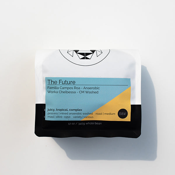 The Future 12 oz Smooth Craft Coffee Beans