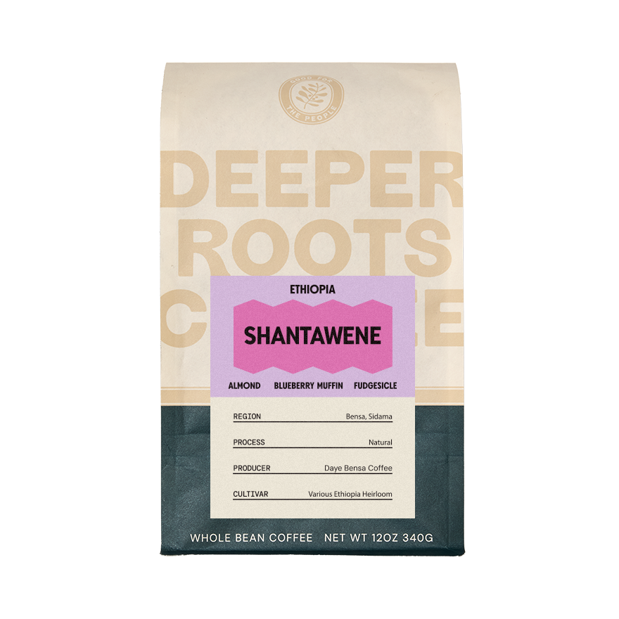Ethiopia Shantawene 12 oz Bright Craft Coffee Beans