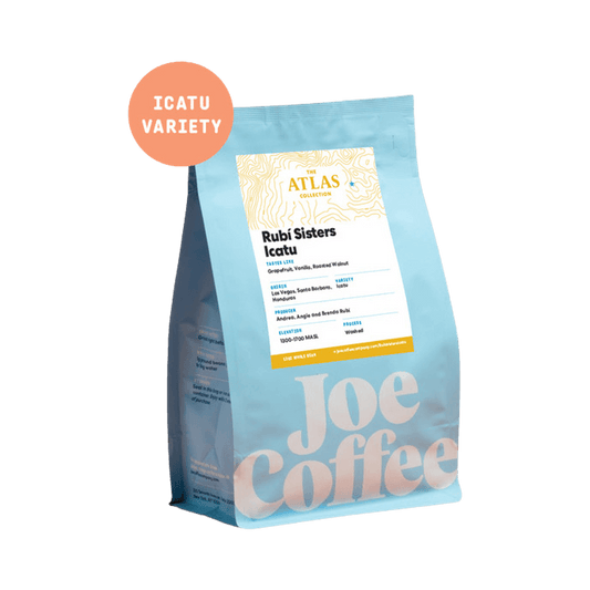 Rubi Sisters Icatu 12 oz Bright Craft Coffee Beans
