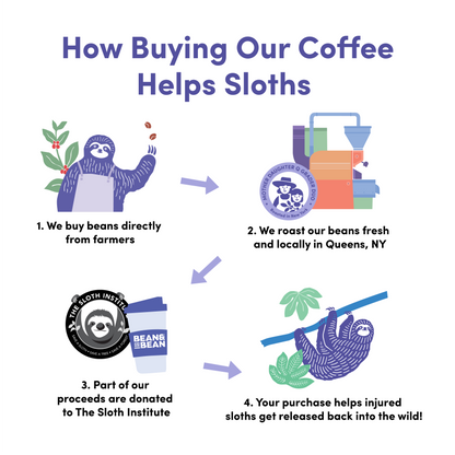 Rio Nights Smooth Craft Coffee Beans